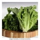 thumbnail image 1 of Lechuga italiana por pieza, 1 of 4