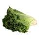 thumbnail image 2 of Lechuga italiana por pieza, 2 of 4