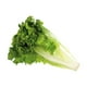 thumbnail image 3 of Lechuga italiana por pieza, 3 of 4