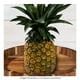 thumbnail image 1 of Miel de Piña por Kilo, 1 of 2