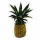 thumbnail image 2 of Piña Miel por kilo, 2 of 4