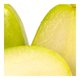 thumbnail image 3 of Chayote sin espinas por kilo, 3 of 3