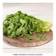 thumbnail image 1 of Cilantro por pieza, 1 of 4