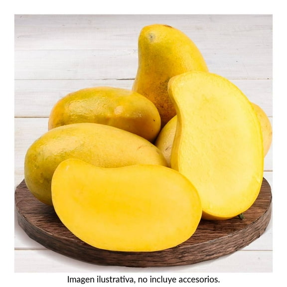 Mango ataulfo por kilo