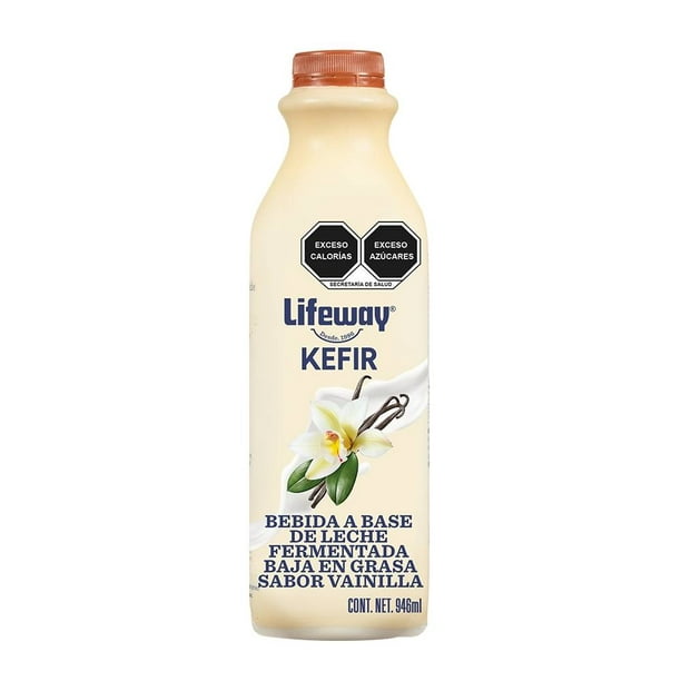 Kéfir: el lácteo perfecto para quienes les sienta mal la leche (tiene  alternativa vegana), BuenaVida