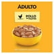 thumbnail image 3 of Alimento para Perro Pedigree Adulto Pollo en Filetes 100 g, 3 of 4