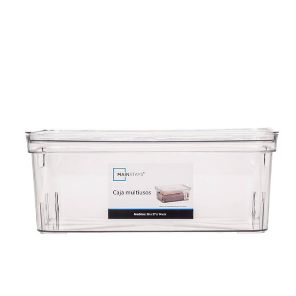 Cajas De Almacenaje Transparentes – Cajas Organizadoras De Plástico Con  Tapa Pack 4 Uds (35l)jardin202 con Ofertas en Carrefour