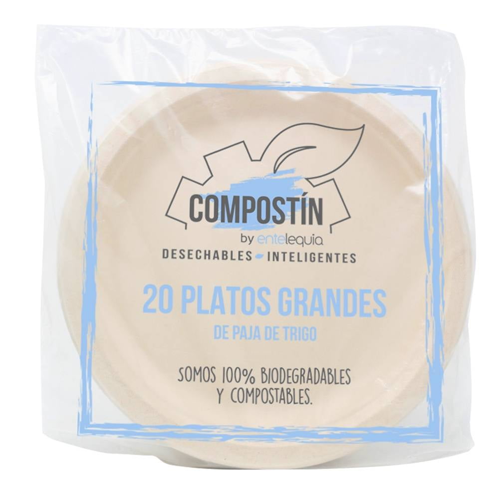 Nosiny 125 platos de plástico con 3 compartimentos, platos desechables  divididos de 9.5 pulgadas para comida, almuerzo, comidas diarias,  suministros