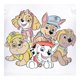 thumbnail image 2 of Playera Nickelodeon Paw Patrol Para niño, equipo, blanco, talla 3x, 2 of 3