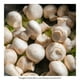 thumbnail image 4 of Champiñones Monte Blanco blancos 160 g, 4 of 4