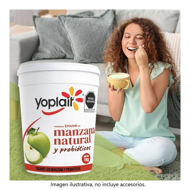 Yoghurt Yoplait Batido Natural 1Kg