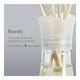 thumbnail image 3 of Aromatizante de Ambiente Air Wick Reed Diffuser Midnight Blackberry & Vanilla Silk 50 ml, 3 of 4