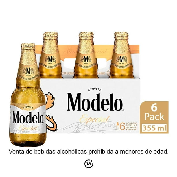 Cuerda radiador Surichinmoi Cerveza clara Modelo Especial 6 botellas de 355 ml c/u | Walmart