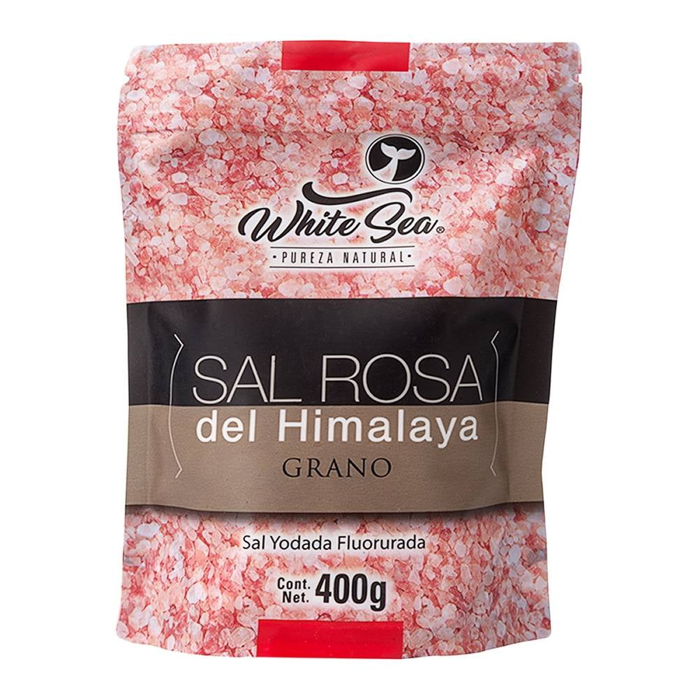 Ascensor también Nube Sal rosa White Sea del Himalaya en grano 400 g | Walmart