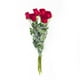 thumbnail image 1 of Bouquet de rosas con 6 tallos, 1 of 1