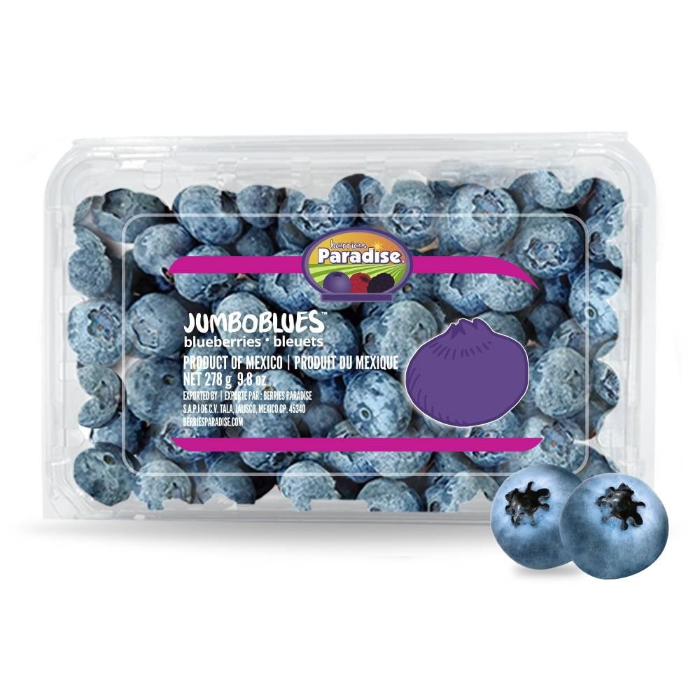 Jumbo Blueberries 9.8 oz