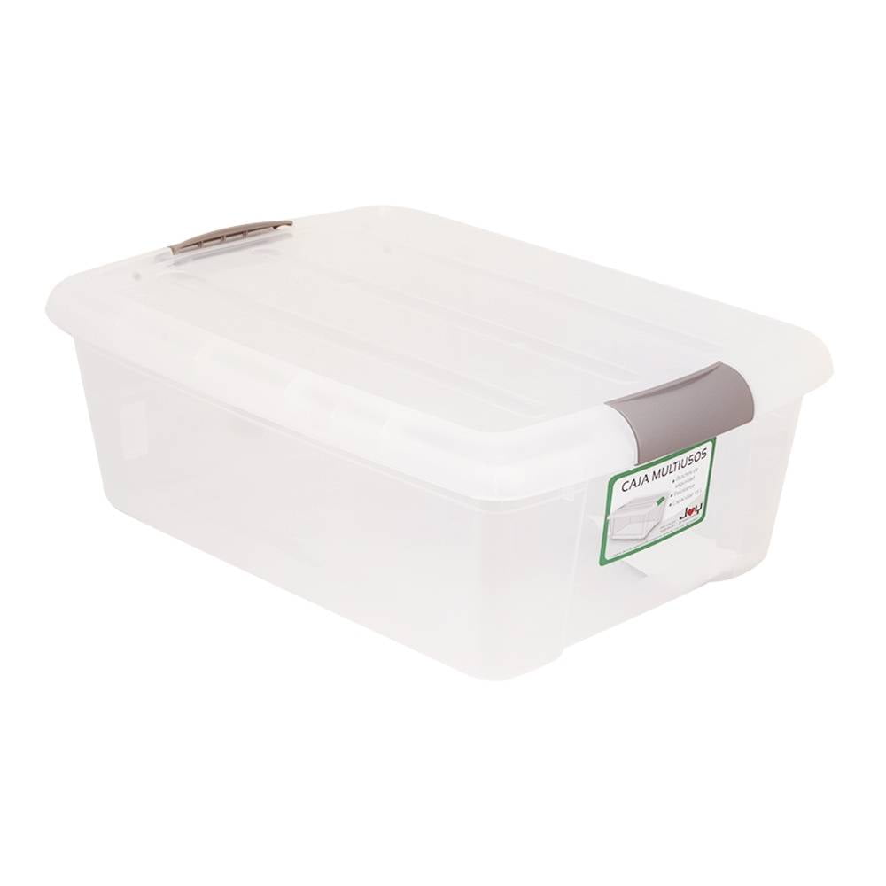 Joyeen Caja de almacenamiento de plástico de 12 litros, caja transparente  con tapa, paquete de 4