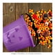 thumbnail image 3 of Cubeta Industrias boris Hallowenn  calabaza morado CEE24, 3 of 4