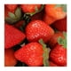 thumbnail image 2 of Fresas 454 g, 2 of 3