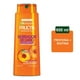 thumbnail image 1 of Shampoo Garnier Fructis Perfecto para el Largo, Borrador de Daños, 650 ml, 1 of 4