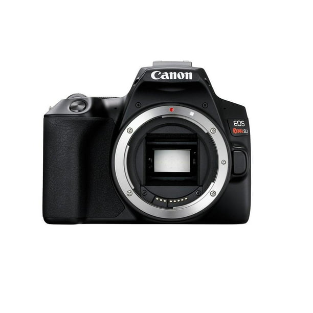 Cámara Fotográfica Canon EOS SL3 más Lente EF-S 18-55mm IS STM | Walmart en