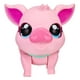 thumbnail image 1 of Mi Cerdito Mascota Fotorama Little Live Pets Piggly Más de 25 Sonidos y Reacciones, 1 of 4