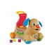 thumbnail image 2 of Perrito 'Camina Conmigo' de Fisher Price, Color Café, MATTEL, 2 of 4