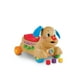 thumbnail image 1 of Perrito 'Camina Conmigo' de Fisher Price, Color Café, MATTEL, 1 of 4