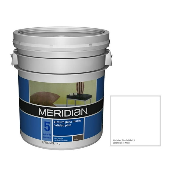 Pintura Meridian Plus 5 Años Blanco Mate 19 Litros