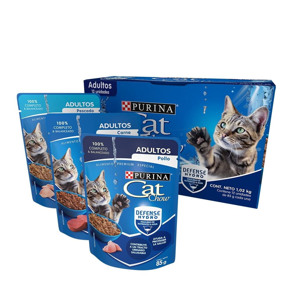 Schesir, Comida húmeda para Gatos Adultos, Sabor bacoreta con anchoas en  gelatina Blanda - Total 2 kg (24 latas monodosis x 85 gr) : :  Productos para mascotas