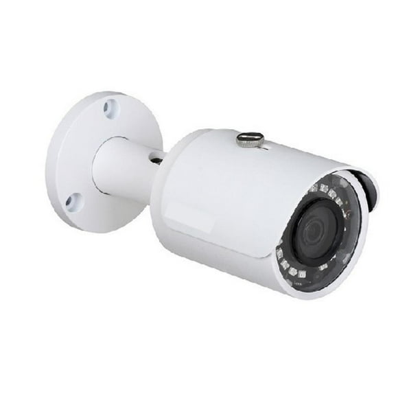fuji hybrid camera