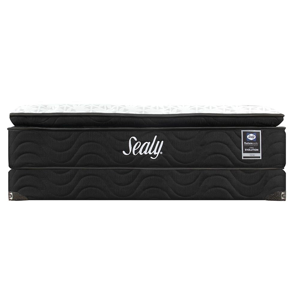 Sealy evolution shop pillow top