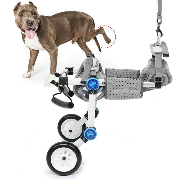 Silla de ruedas para perros discapacitados coche de rehabilitación para  mascotas extremidades traseras fáciles de desmontar con la hebilla  Schnauzer ligero Perros pequeños ANGGREK Otros