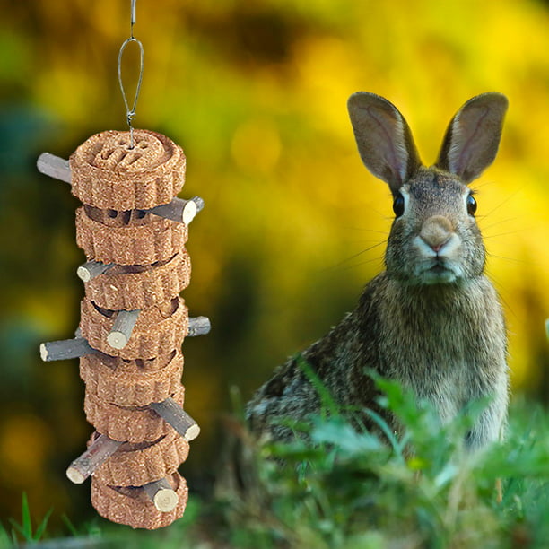 Conejito masticable juguetes para dientes, molar conejo juguetes natural  orgánico manzana palitos para conejos, chinchillas, cobayas, hámsters