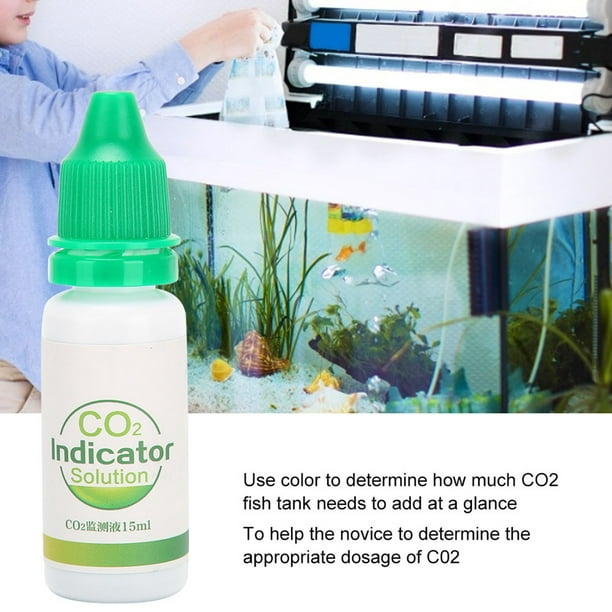 AQUARIUM CO2 Indicator Drop Checker LONG TERM MONITOR test - Real time  Solution