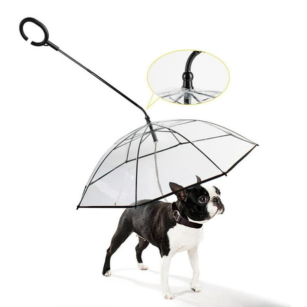 Paraguas para mascotas transparente