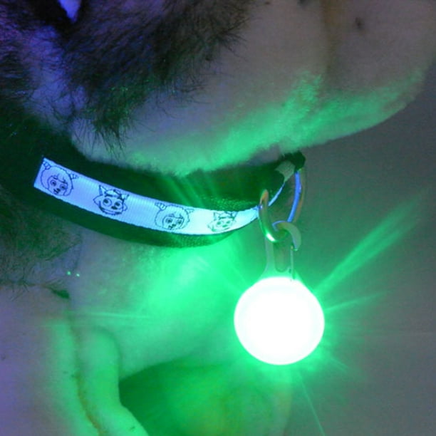Luz LED para collar de perro con clip emisor de luz, luz para
