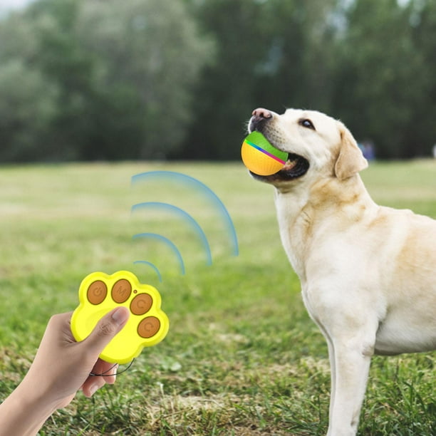 Pelota interactiva automática para perros, pelota malvada para jardín,  interior y exterior Verde ama Yuyangstore Bola rodante automática