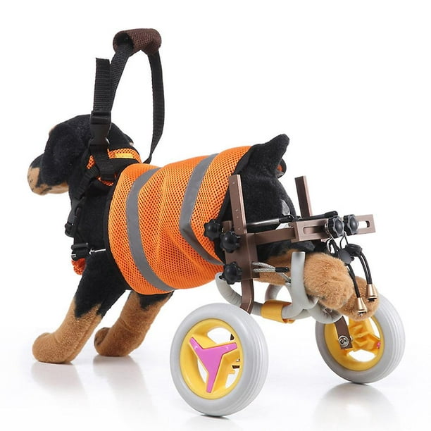 Silla de ruedas para mascotas para perros discapacitados, perro viejo,  andador para gatos, coche, ajustable, ligera, patas traseras,  rehabilitación, silla de ruedas para perros esquí esquí Gafas de esquí