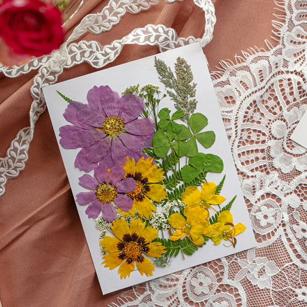 Delicado juego de acuarelas florales prensadas y arreglos de flores secas  en la paleta de colores naturales.