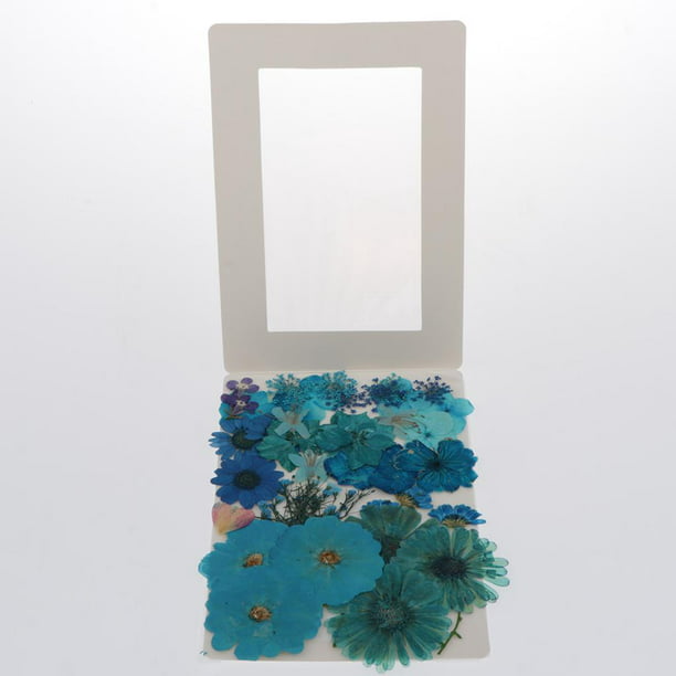 Olerqzer - Juego de 80 flores secas para resina, diseño de flores, par