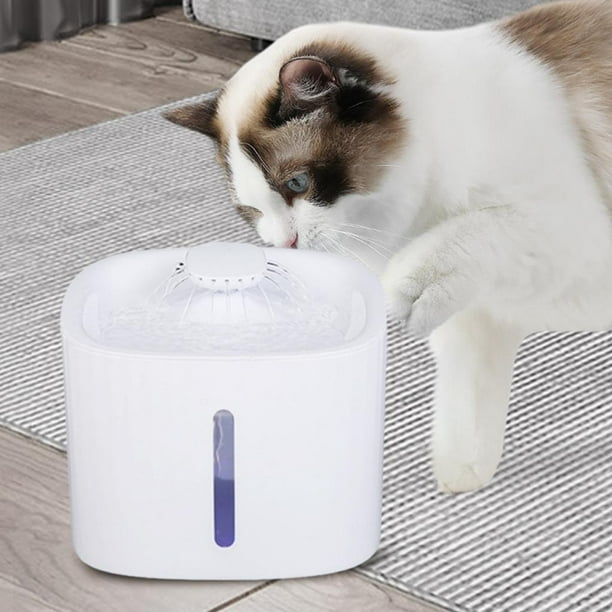 Fuente de agua para 2.6L Sensor de movimiento de agua para perros  domésticos para mascotas Tazón para beber de material acero inoxidable  Gloria Cuenco de bebida para gatos