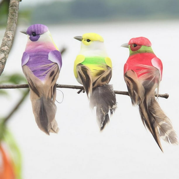 duoyif 6 Piezas Pájaro De Plumas Artificiales, Pajaros Decorativos con  Plumas, Pájaro Colorido con Clip, Modelo De Pájaro De Espuma para  Decoraciones De Jardín En Miniatura, Ramas y Deco De Boda 