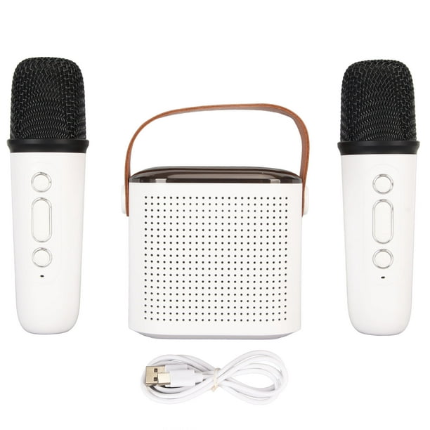 Mini Máquina de Karaoke con 2 Micrófonos Inalámbricos Micrófono