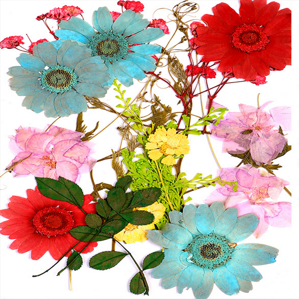 25 flores das naturales, flores secas reales de resina, flores naturales para  resina, flores de uñas secas para decoración de uñas, tarjetas de C Gloria Flores  secas prensadas naturales