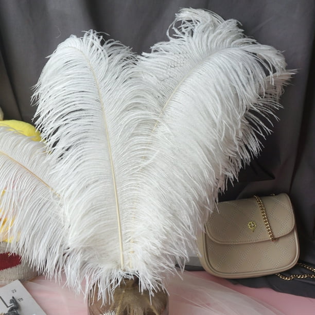  UNEEDE 120 plumas blancas de 6 a 8 pulgadas, plumas de ganso  naturales para decoración de boda, decoración de Halloween, alas de ángel y  manualidades de hadas : Arte y Manualidades
