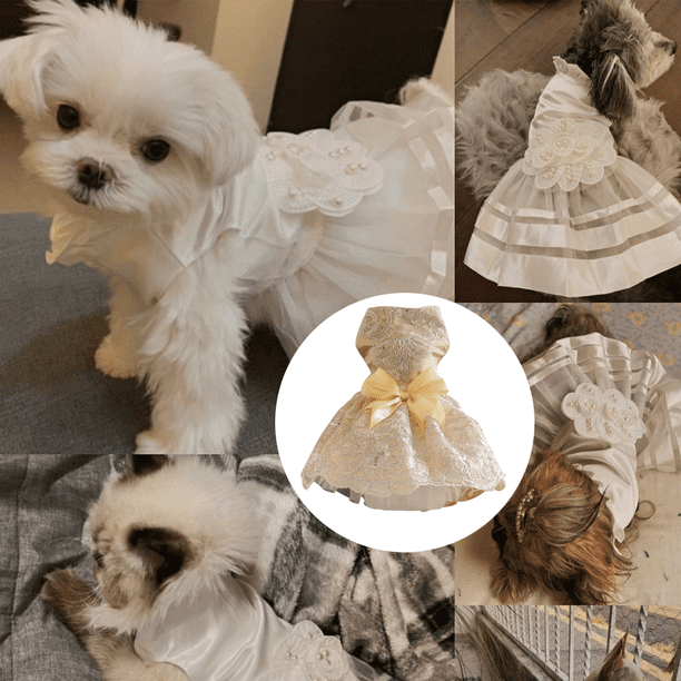 Vestido tejido para online perrita