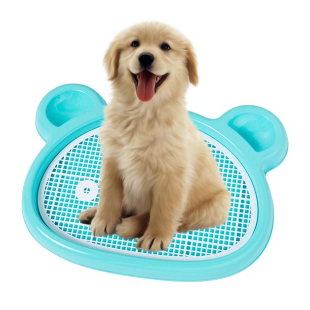 Inodoro para perros, bandeja para orinal de entrenamiento para cachorros,  Azul Yuyangstore Inodoro con bandeja de arena