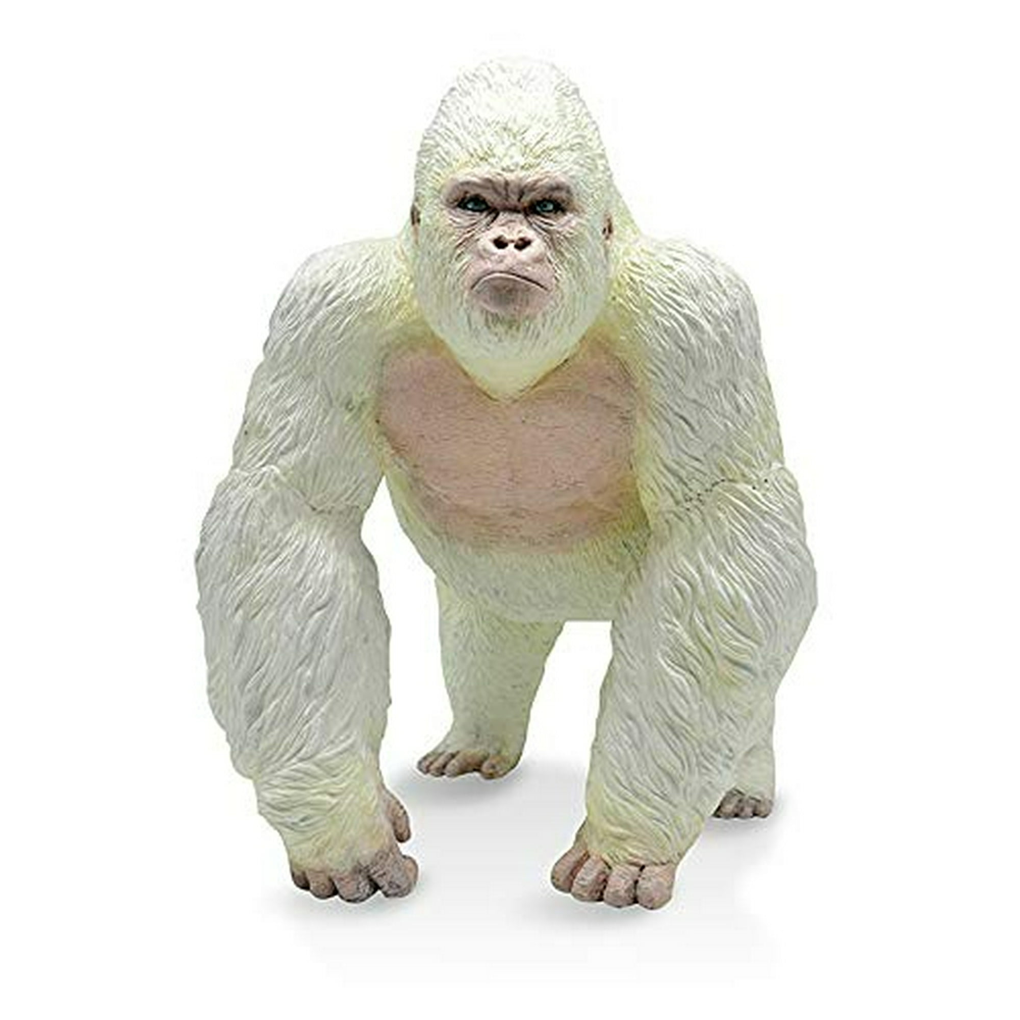 RECUR Gorila Albinos King Kong Toys - Gran Realista Marcha Gorila Mono  Animal Salvaje Figura Gorila Blanco Mono Figura Regalo para coleccionistas  y