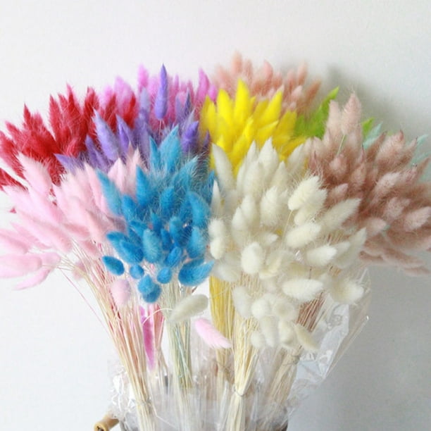 Compra Ramo de flores secas - Naturales - 60 cm al por mayor